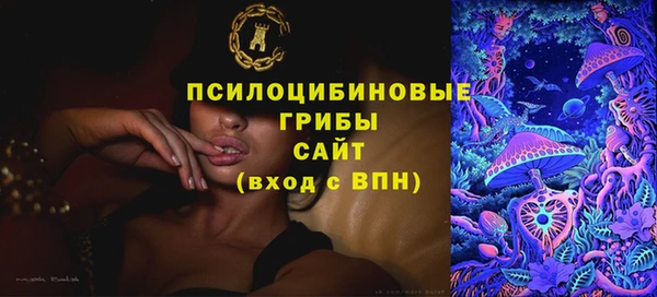 СК Богородицк