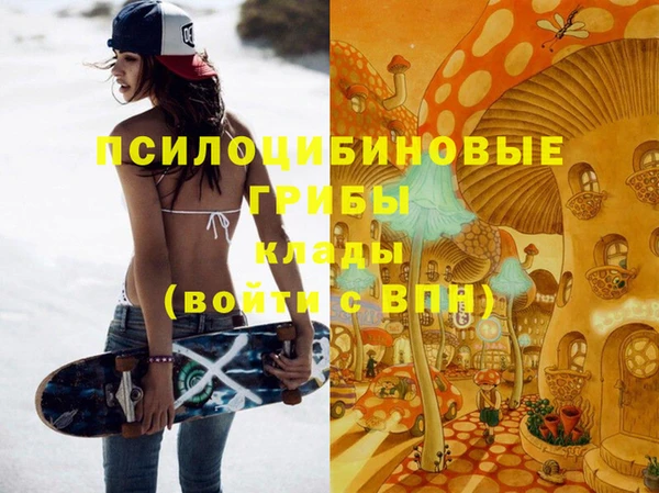 2c-b Богданович